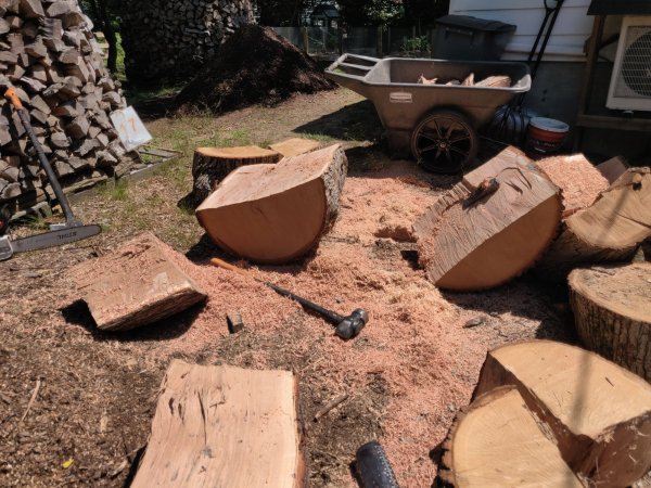 2021-07-23 12.18.30.jpg