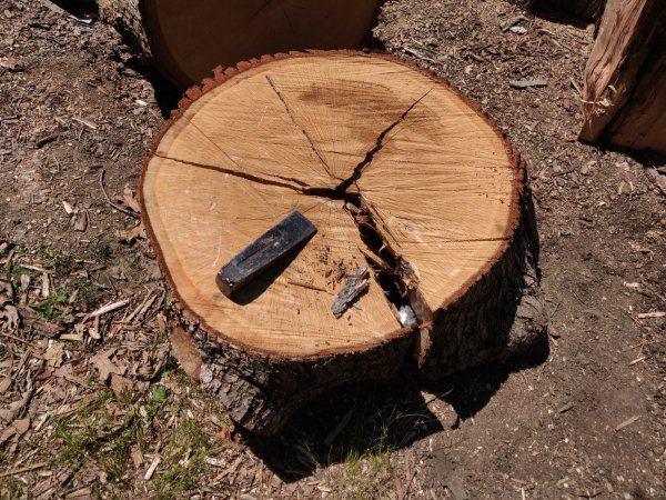 2021-07-23 11.58.50.jpg