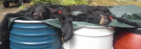 20200917_132517 2.jpg