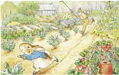 Screen Shot 2021-07-28 at 4.42.55 PM.png