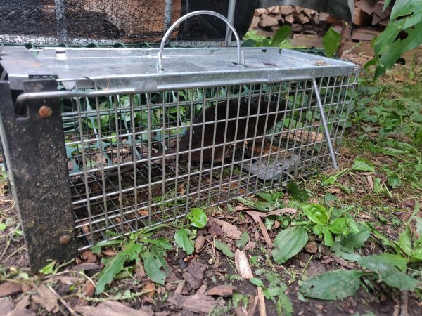 2021-07-31 19.15.47.jpg