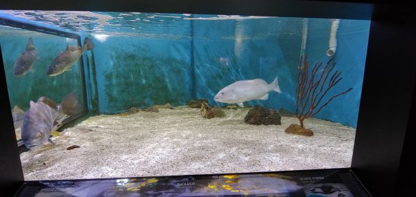 0724211556_HDR.jpg