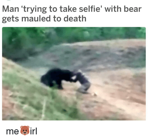 man-trying-to-take-selfie-with-bear-gets-mauled-to-32674849.png