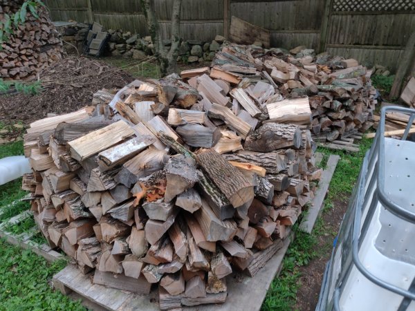 2020-08-31 07.41.05.jpg