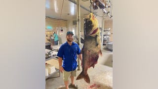 Bighead_carp-2021-Matthew-Neuling_1.jpg