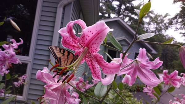 PHOTO_20210809_114906.jpg