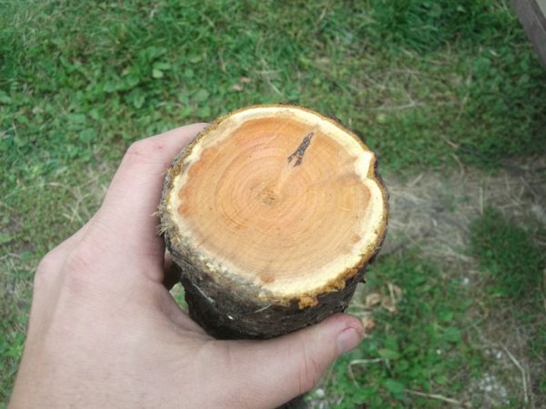 09-30-14 scrounge 005.jpg