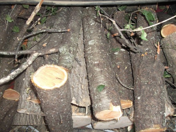 09-30-14 scrounge 009.jpg