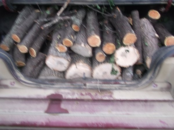 09-30-14 scrounge 002.jpg