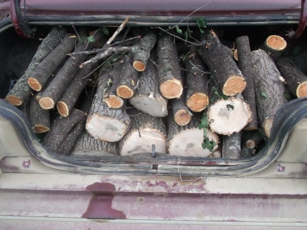 09-30-14 scrounge 001.jpg