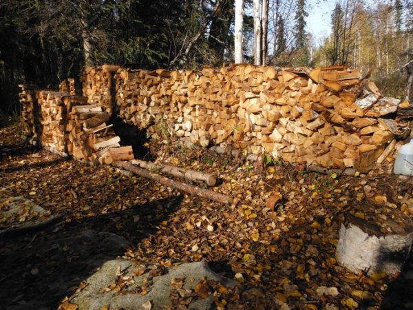 Ms cmp firewood.JPG