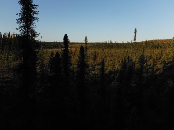 DSCF3718.JPG