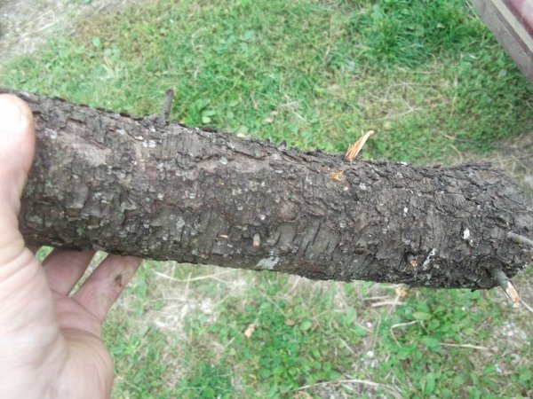 09-30-14 scrounge 003.jpg