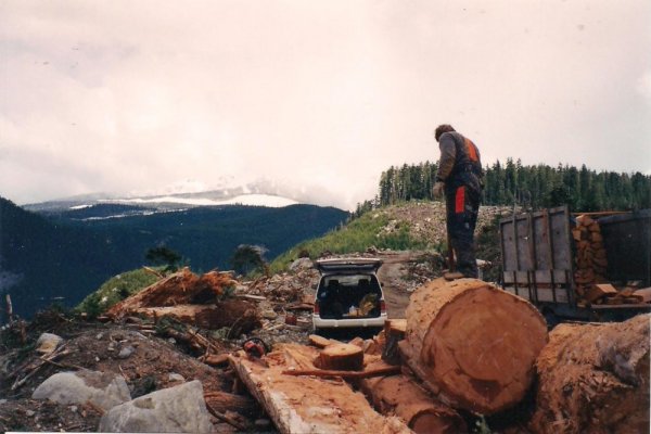 wood gathering (3).jpg