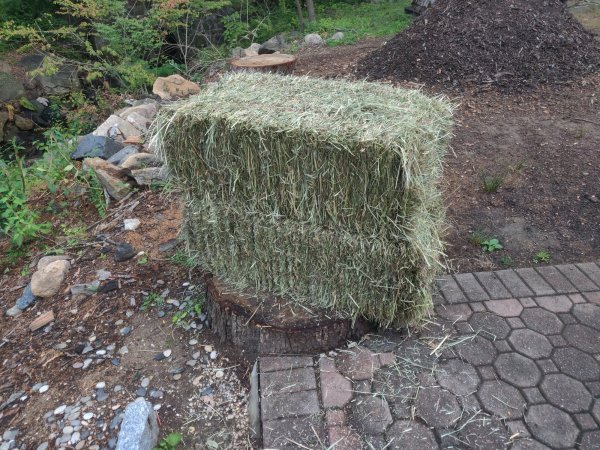 2021-08-11 10.02.28.jpg