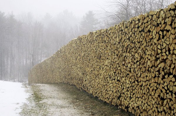 0213-UCOLD-HOME-FORUM-HUGE_WOODPILE.jpg