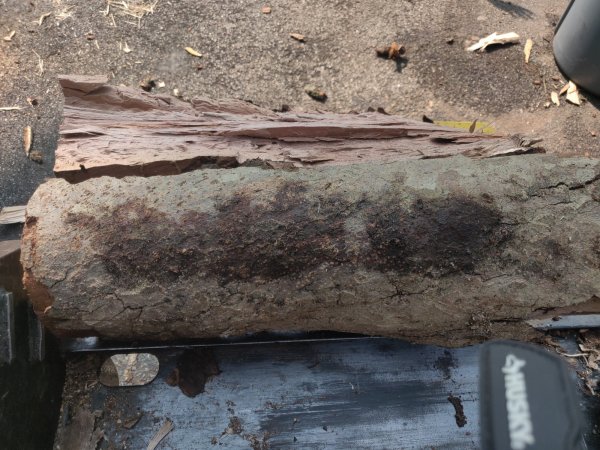 2021-08-11 16.05.21.jpg