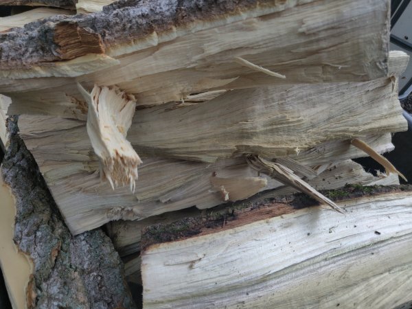 2021-08-16 15.30.31.jpg