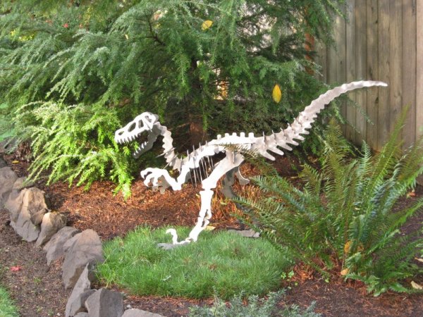 IMG_1288 (800x600).jpg