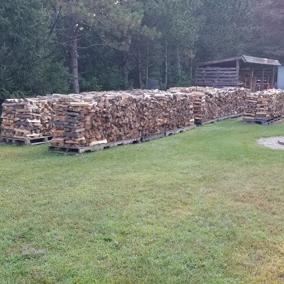 20210821_083658_resized (1).jpg