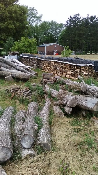 phonepics aug 21 046.JPG