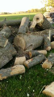 phonepics aug 21 010.jpg