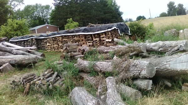 phonepics aug 21 039.JPG