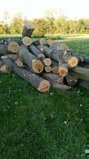 phonepics aug 21 012.jpg