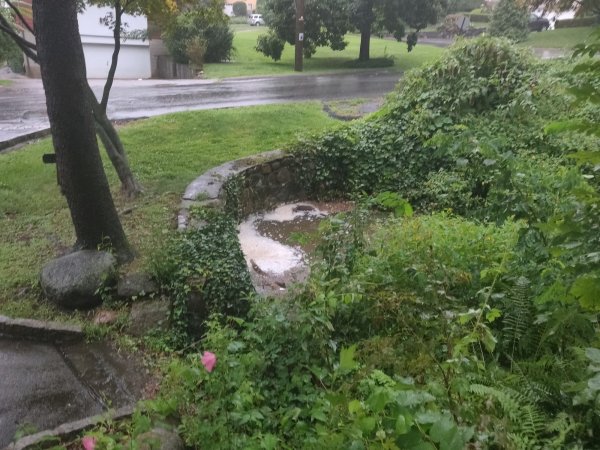 2021-08-22 17.09.03.jpg