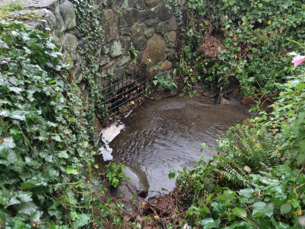 2021-08-23 12.44.14.jpg