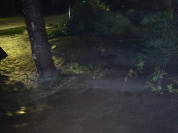 2021-09-01 22.10.22.jpg