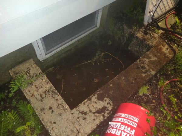 2021-09-01 22.55.03.jpg