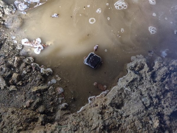 2021-09-01 23.43.33.jpg