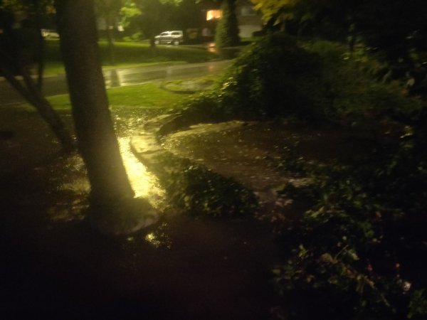 2021-09-02 00.15.19.jpg