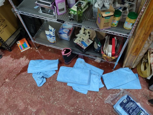 2021-09-02 07.28.01.jpg