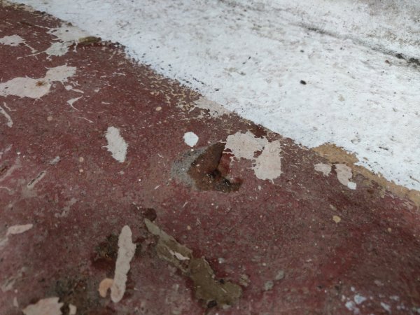 2021-09-02 10.40.44.jpg