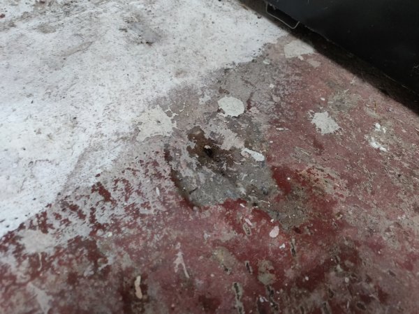 2021-09-02 10.40.46.jpg