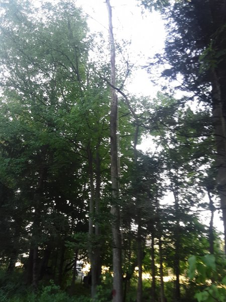20210902_082226.jpg