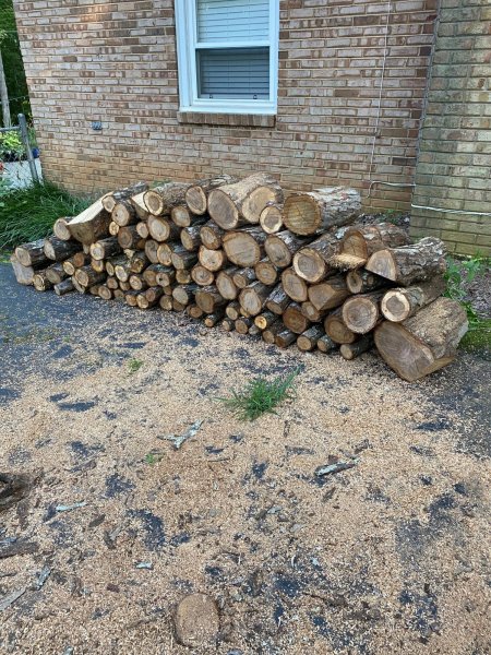 White Oak 2SEP2021.jpg