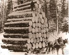 Largest 2 horse pull.jpg