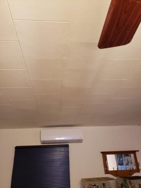 livingroom ceiling tiles.jpg