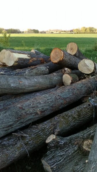 phonepics aug 21 007.JPG