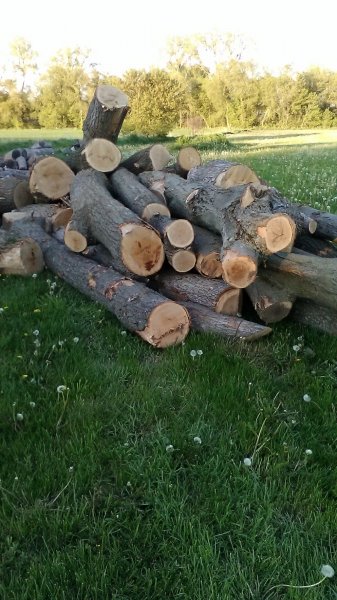 phonepics aug 21 013.JPG