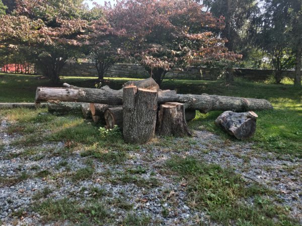 2021-09-15 13.06.41.jpg