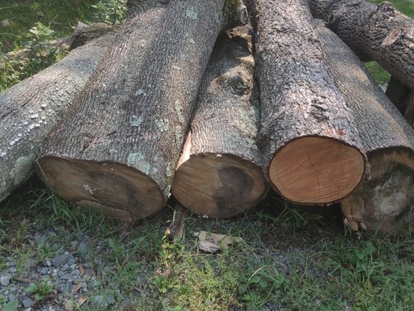 2021-09-15 13.06.54.jpg