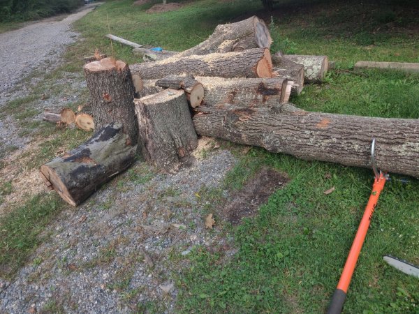 2021-09-15 16.31.50.jpg