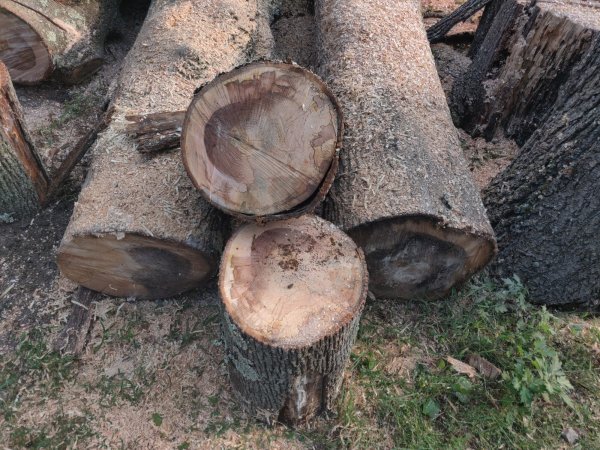 2021-09-15 17.18.01.jpg