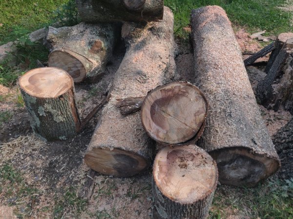 2021-09-15 17.18.04.jpg