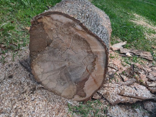 2021-09-15 17.42.57.jpg