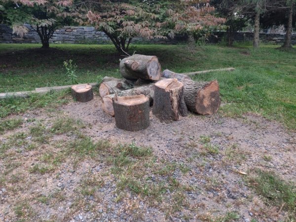 2021-09-16 08.30.43.jpg